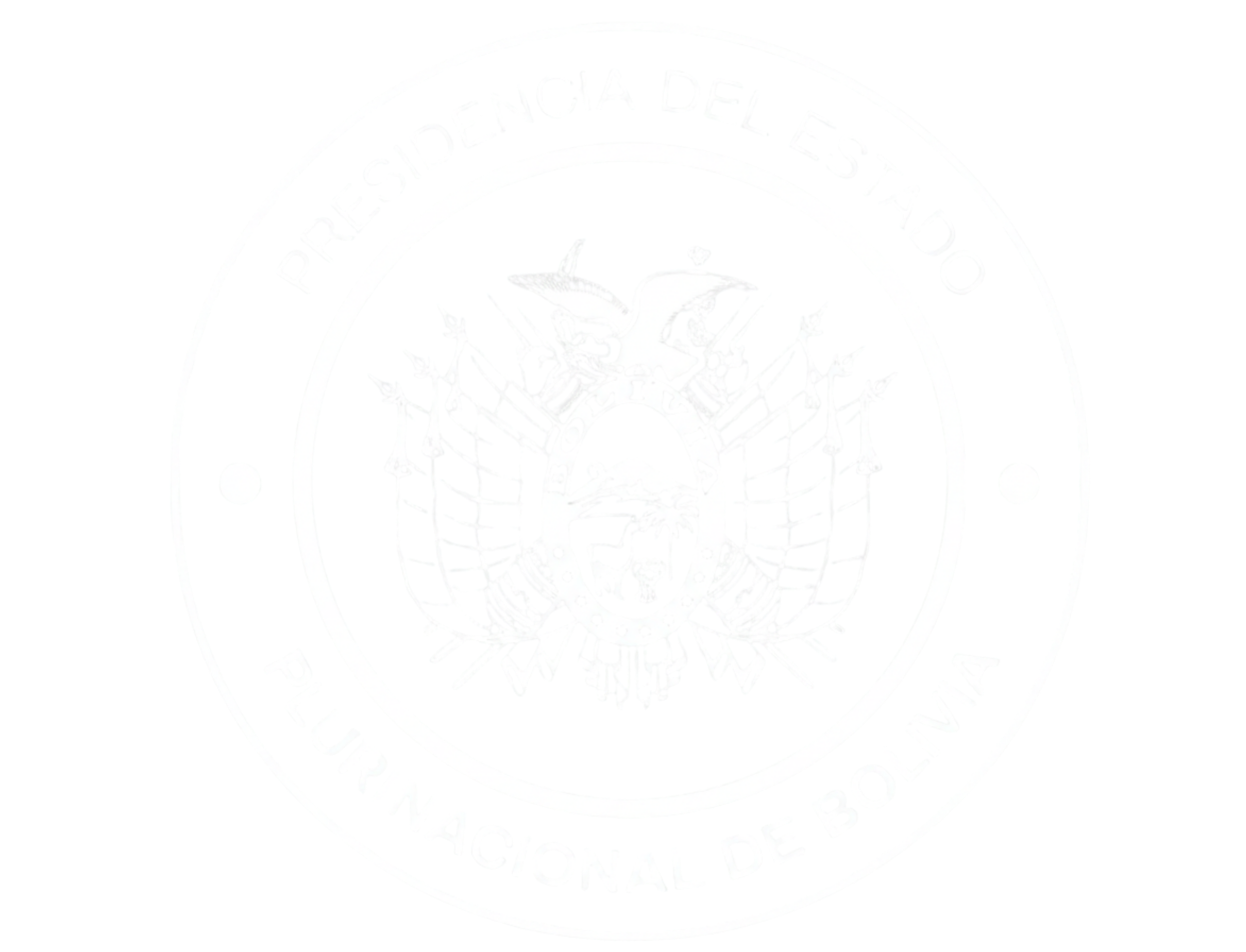 <i>| Estado Plurinacional de Bolivia |</i>